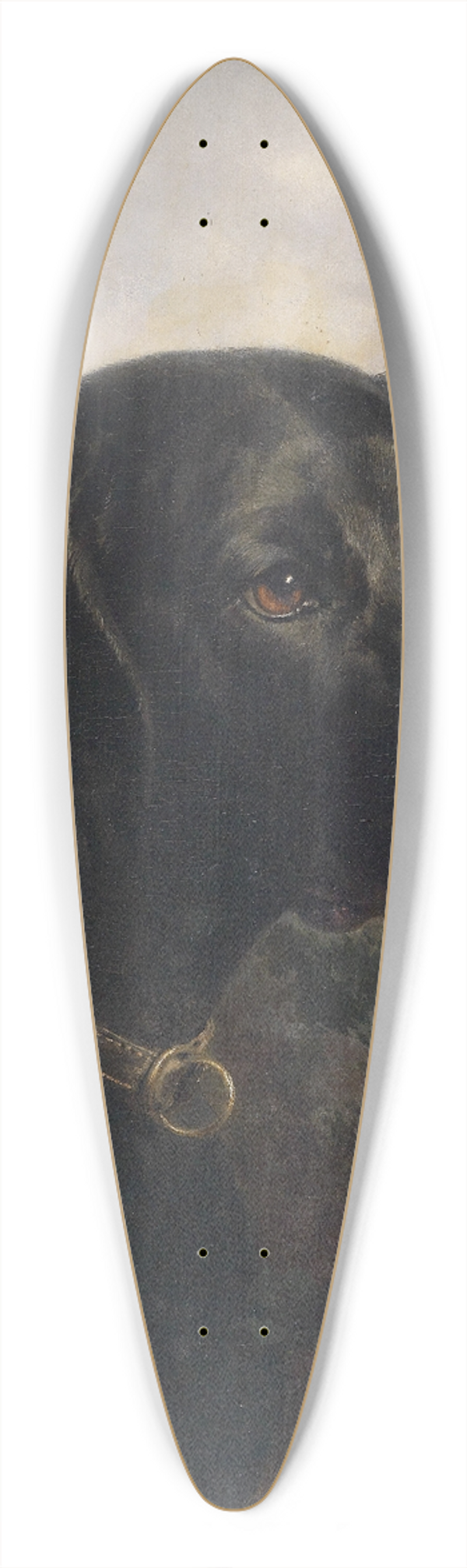 Carl Reichert - Hector 39.3 inch art pintail longboard deck