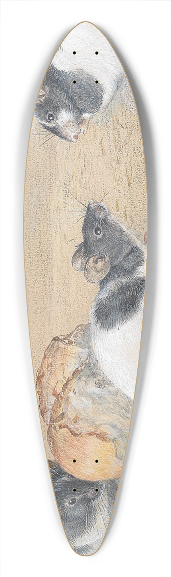 Carl Reichert - Muse 39.3 inch art pintail longboard deck
