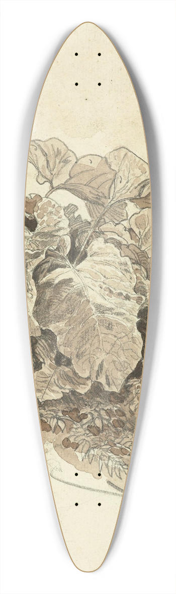 Carl Wagner - Huflattich 39.3 inch art pintail longboard deck