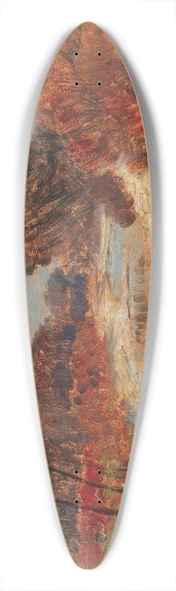 Carl Weiss - Donau-Au 39.3 inch art pintail longboard deck