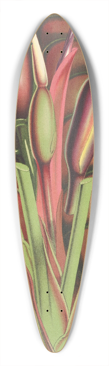 Charles Antoine Lemaire - Alocasia metallica 39.3 inch art pintail longboard deck