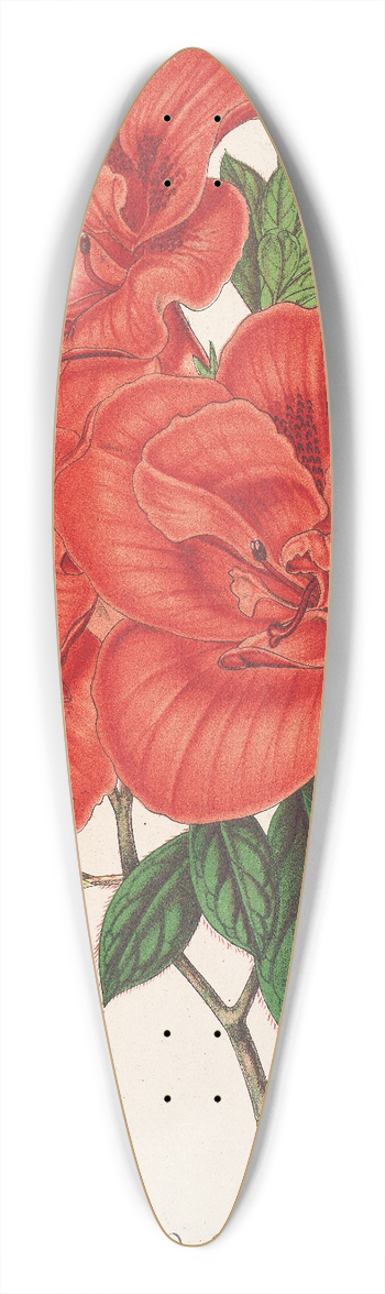 Charles Antoine Lemaire - Azalea (indica) Grande Duchesse de Bade 39.3 inch art pintail longboard deck