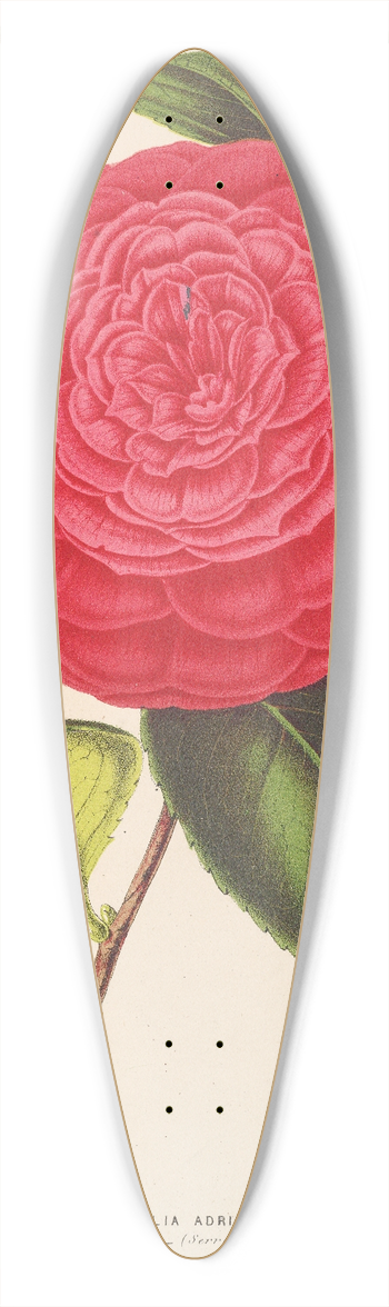 Charles Antoine Lemaire - Camellia Adriana 39.3 inch art pintail longboard deck