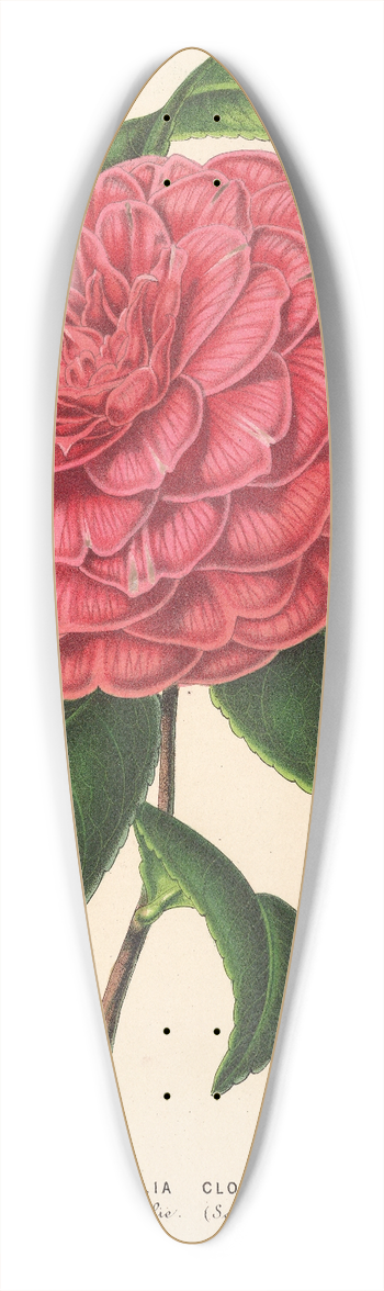 Charles Antoine Lemaire - Camellia Clodia 39.3 inch art pintail longboard deck