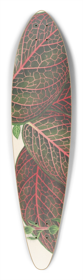 Charles Antoine Lemaire - Gymnostachyum Verschaffeltii 39.3 inch art pintail longboard deck