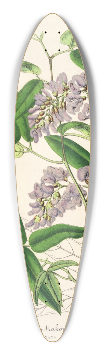 Charles Antoine Lemaire - Hardenbergia Makoyana (hybrida) 39.3 inch art pintail longboard deck