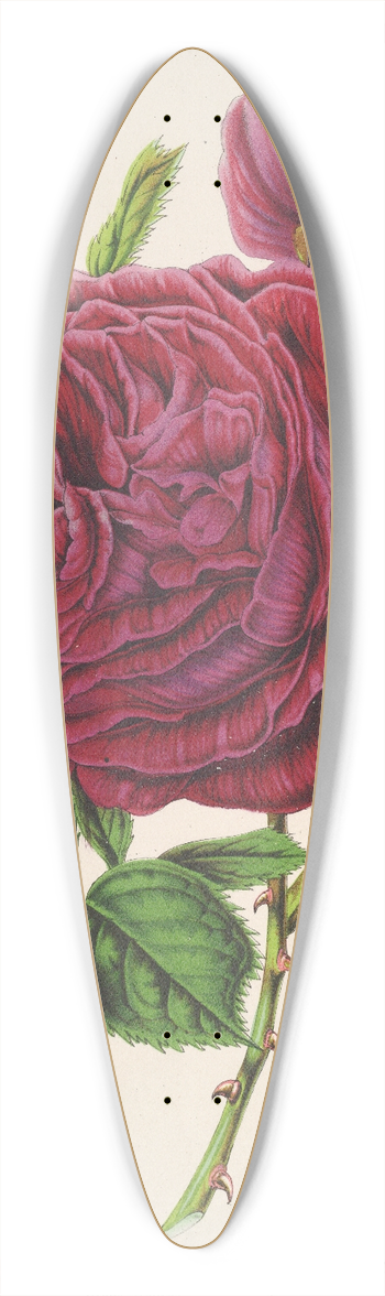 Charles Antoine Lemaire - Rose Triomphe dAmiens 39.3 inch art pintail longboard deck