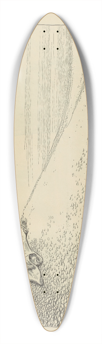 Charles Dana Gibson - The Heiress 39.3 inch art pintail longboard deck