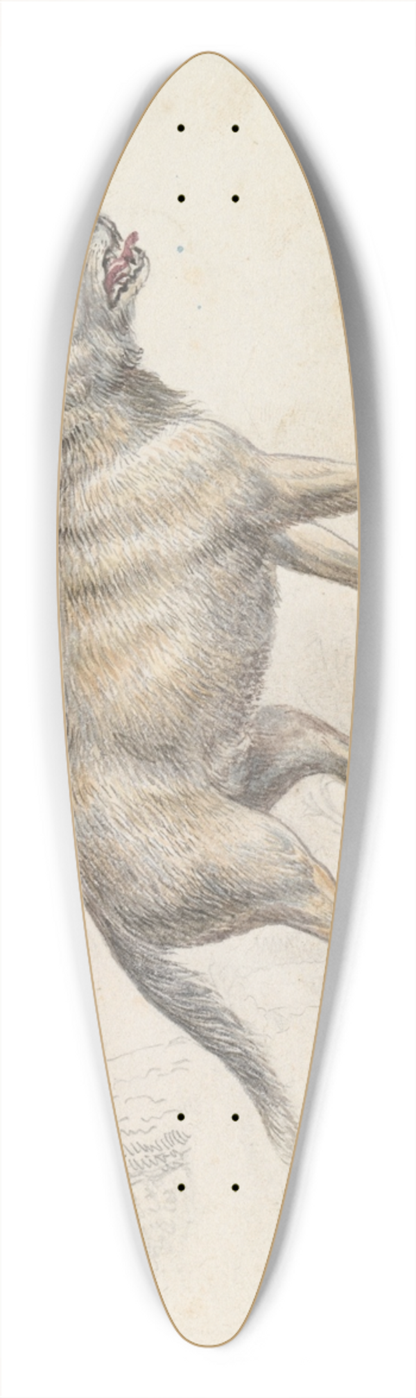 Charles Hamilton Smith - Hoary Aguara Dog 39.3 inch art pintail longboard deck