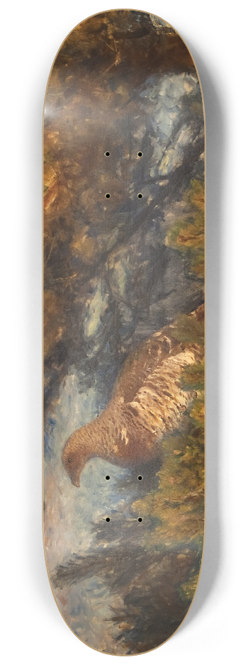 Bruno Liljefors - Female Capercaillie 8.25 inch art skate deck