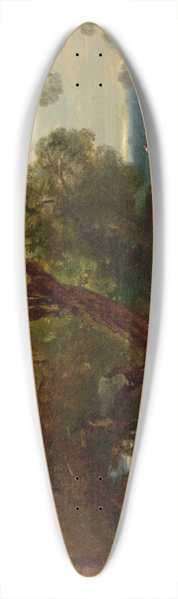Charles Hoguet - Rest at the Edge of the Forest 39.3 inch art pintail longboard deck