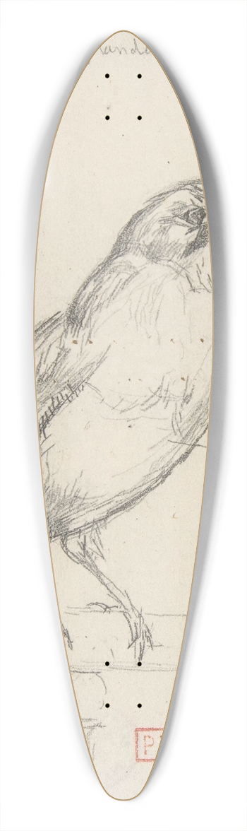 Charles Meryon - A European Jay 39.3 inch art pintail longboard deck