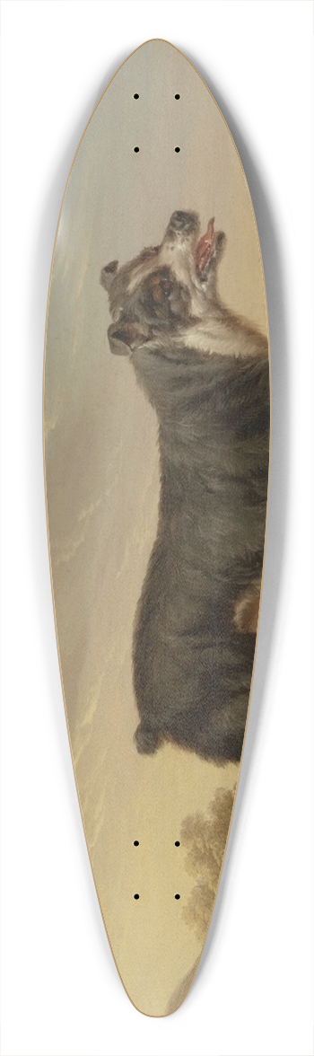 Charles Towne - Tyke 39.3 inch art pintail longboard deck