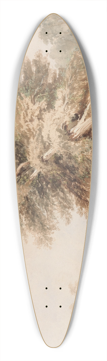 Charles Warren - The Eel Catcher 39.3 inch art pintail longboard deck