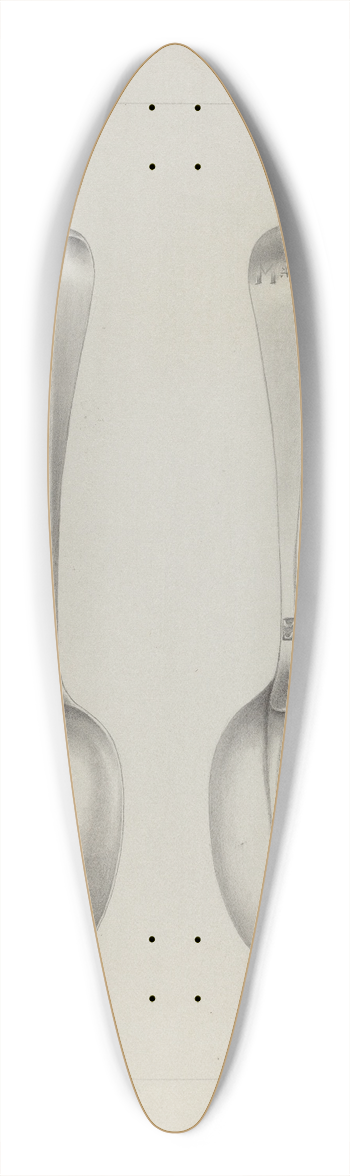 Charlotte Winter - Silver Spoon 39.3 inch art pintail longboard deck