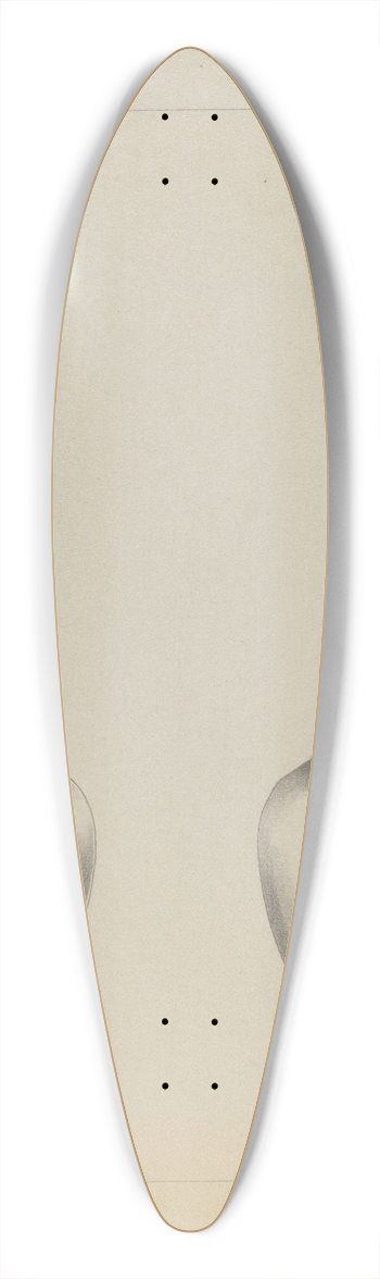 Charlotte Winter - Silver Spoon 39.3 inch art pintail longboard deck