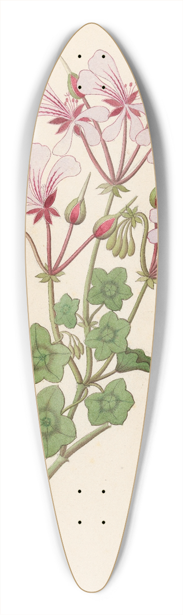 Clemenz Heinrich Wehdemann - Pelargonium peltatum 39.3 inch art pintail longboard deck