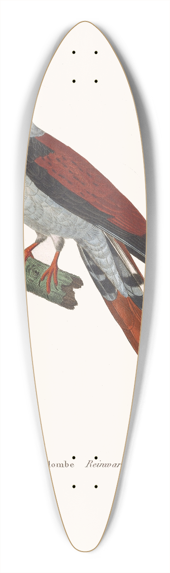 Coenraad Jacob Temminck - Colombe Reinwardt 39.3 inch art pintail longboard deck