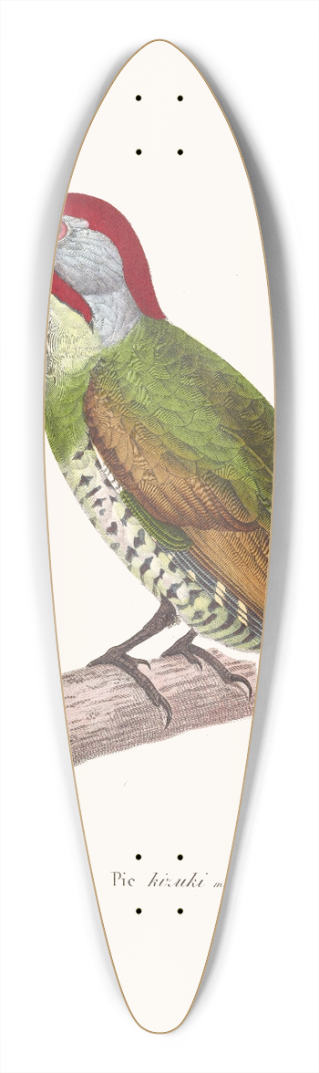 Coenraad Jacob Temminck - Pic Kizuki 39.3 inch art pintail longboard deck