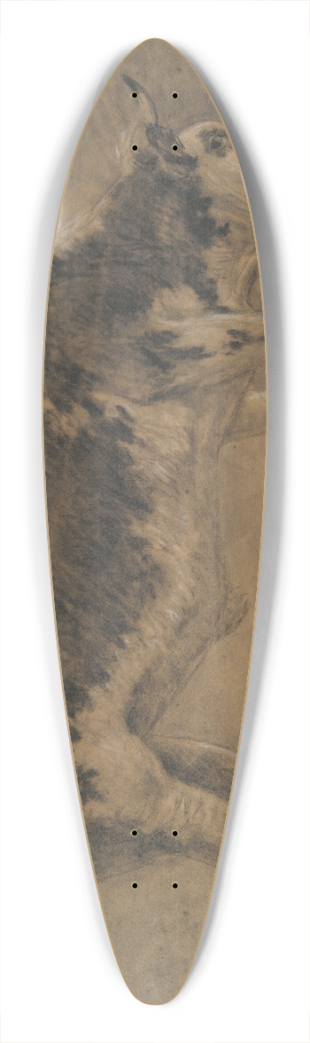 Constant Troyon - AmericanOx 39.3 inch art pintail longboard deck