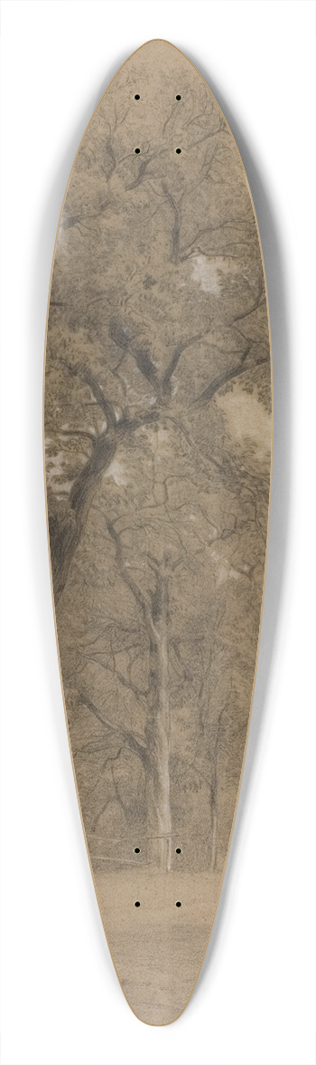 Constant Troyon - Edge of a Forest 39.3 inch art pintail longboard deck