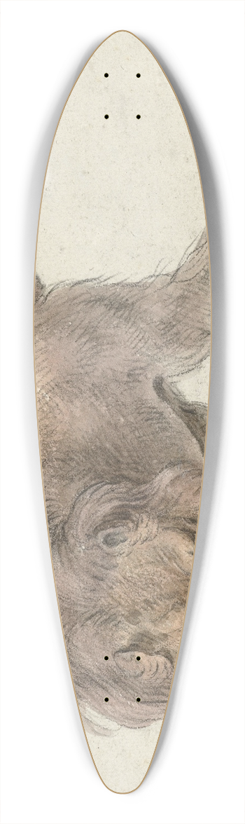 Cornelis Saftleven - Lion 39.3 inch art pintail longboard deck