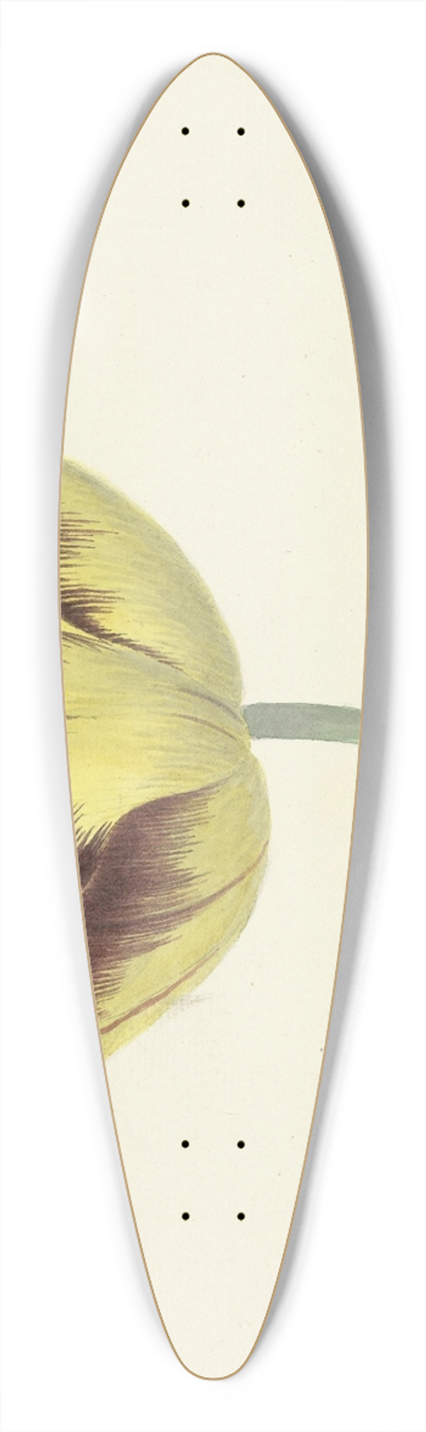 Cornelis van Noorde - Tulp genaamd Bizard Le Febure No. 1 39.3 inch art pintail longboard deck