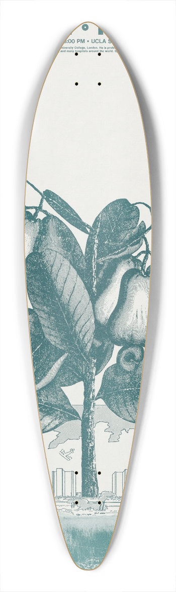 Coy Howard - The future, new towns 39.3 inch art pintail longboard deck
