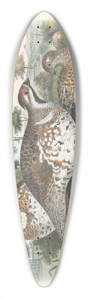 Daniel Giraud Elliot - Hazel Grouse 39.3 inch art pintail longboard deck