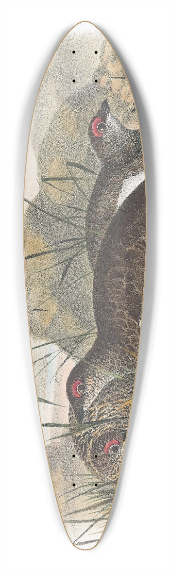 Daniel Giraud Elliot - Rock Ptarmigan 39.3 inch art pintail longboard deck