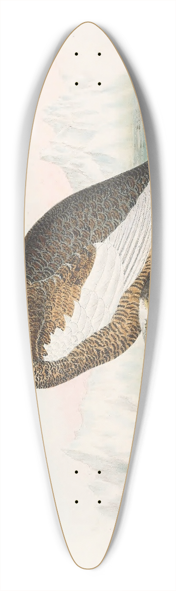 Daniel Giraud Elliot - Spitzbergen Ptarmigan 39.3 inch art pintail longboard deck
