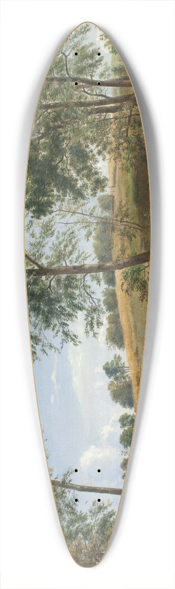 Dankvart Dreyer - The Caroline Spring at Nsby on Funen 39.3 inch art pintail longboard deck