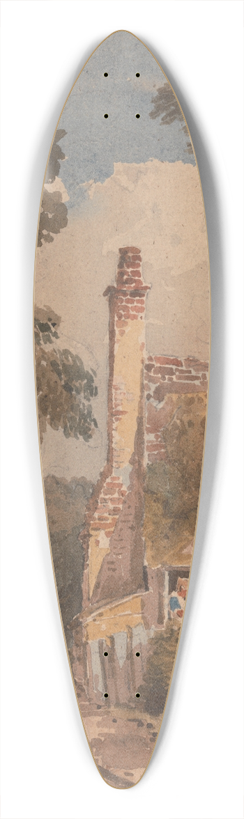 David Cox - Harborne 39.3 inch art pintail longboard deck