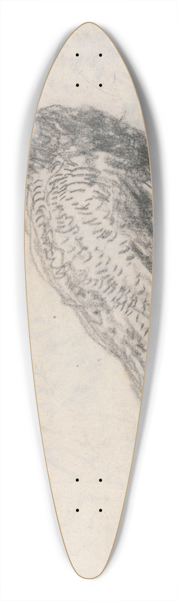 David Cox - Peacock at Capel Curig 39.3 inch art pintail longboard deck