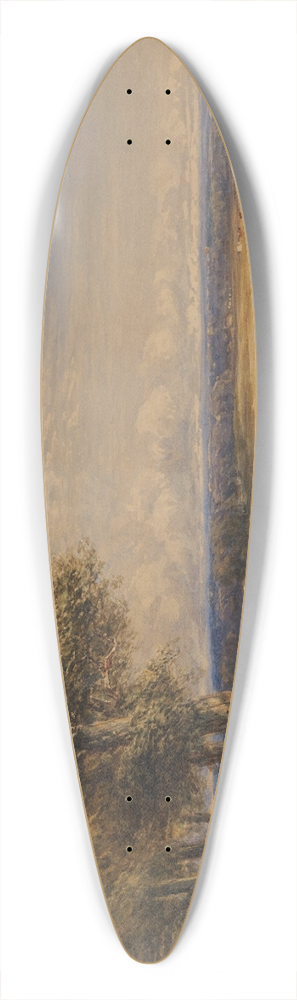 David Cox - The Skylark 39.3 inch art pintail longboard deck