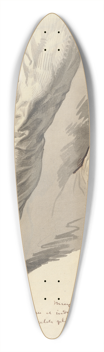 David Humbert de Superville - Plooival op twee benen 39.3 inch art pintail longboard deck