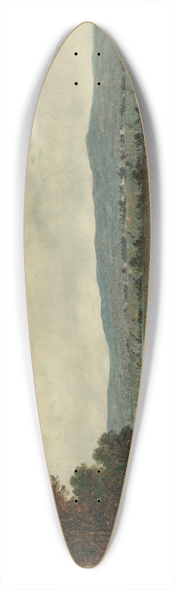 David Johnson - Landing The Dory 39.3 inch art pintail longboard deck