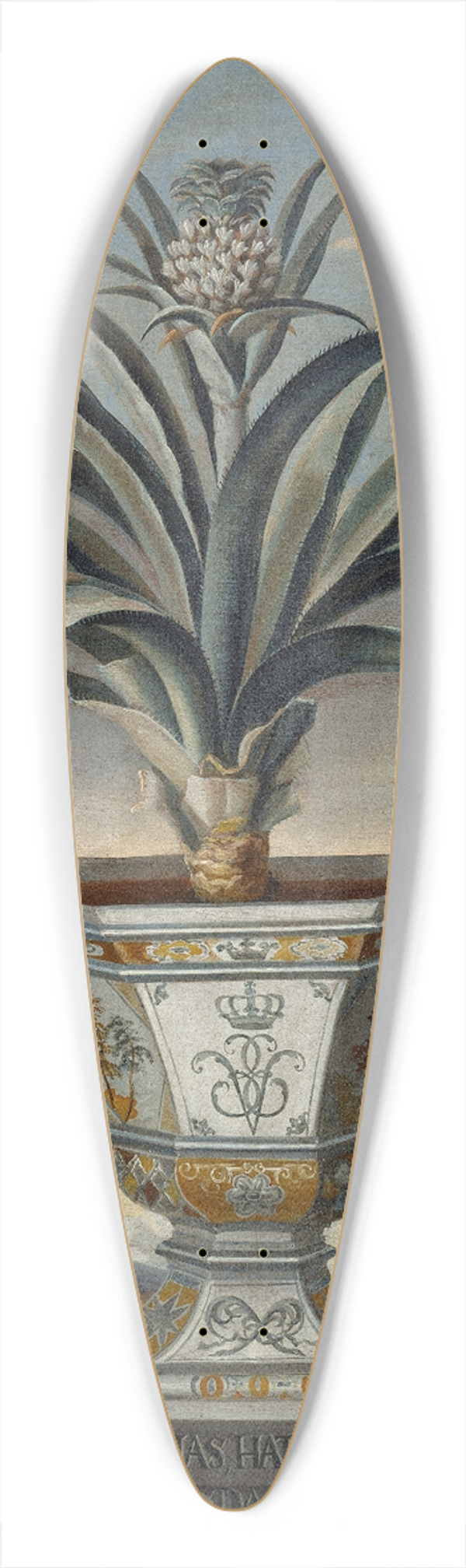 David von Cln - Pineapple plant 39.3 inch art pintail longboard deck