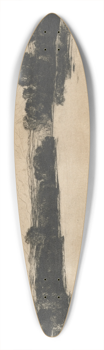 David Young Cameron - Glen Strae 39.3 inch art pintail longboard deck