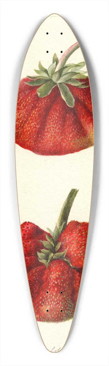 Deborah Griscom Passmore - Fragaria: Dew 39.3 inch art pintail longboard deck