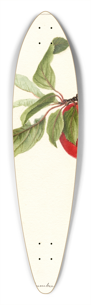 Deborah Griscom Passmore - Prunus domestica: Lannix 39.3 inch art pintail longboard deck