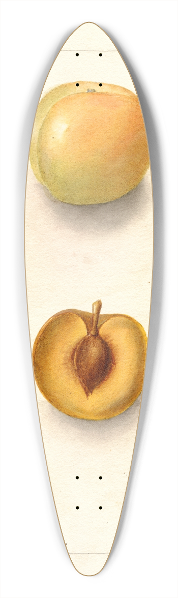 Deborah Griscom Passmore - Prunus domestica: Normand 39.3 inch art pintail longboard deck