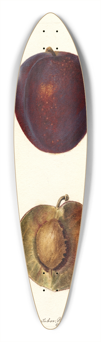 Deborah Griscom Passmore - Prunus domestica: Pacific Prune 39.3 inch art pintail longboard deck