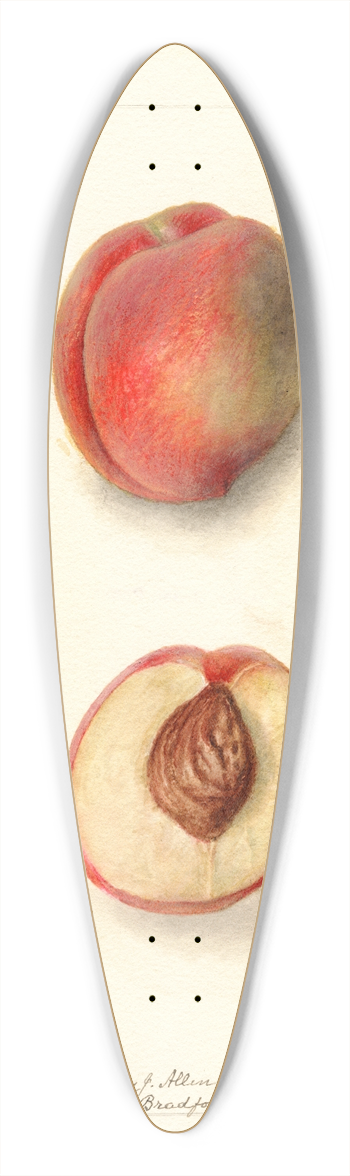 Deborah Griscom Passmore - Prunus persica: Yum Yum 39.3 inch art pintail longboard deck