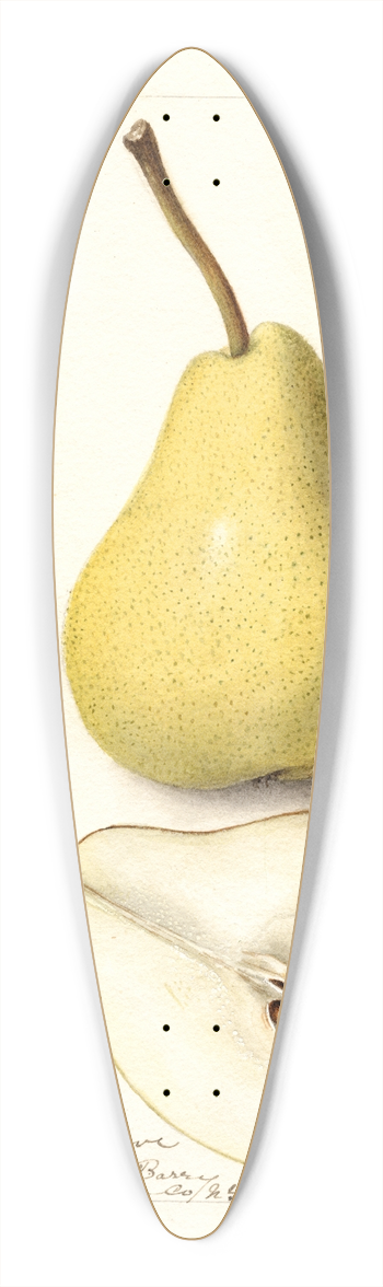 Deborah Griscom Passmore - Pyrus communis: Madam Treyve 39.3 inch art pintail longboard deck