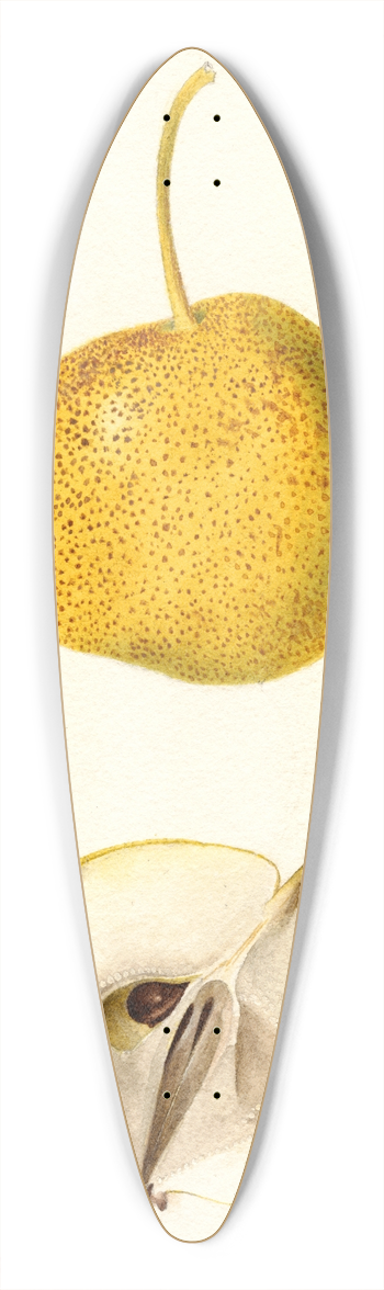 Deborah Griscom Passmore - Pyrus communis: Mikado 39.3 inch art pintail longboard deck