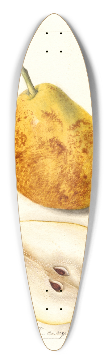 Deborah Griscom Passmore - Pyrus communis: President Gilbert 39.3 inch art pintail longboard deck