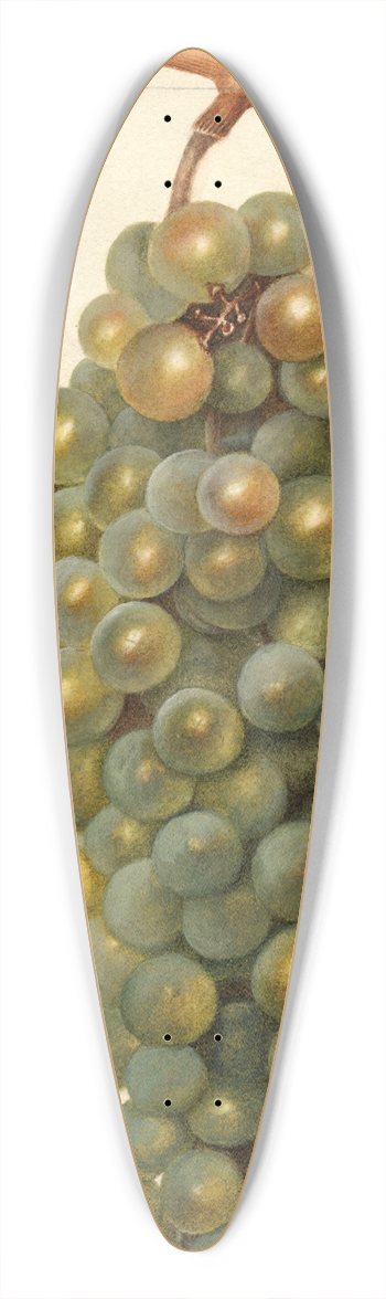 Deborah Griscom Passmore - Vitis: Icicle 39.3 inch art pintail longboard deck