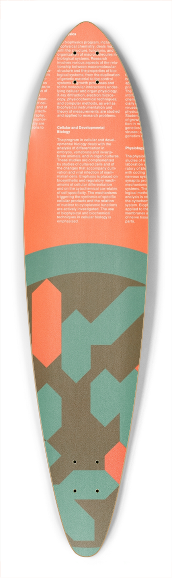 Dietmar Winkler - Massachusetts Institute of Technology graduate program in the Department of Biology 39.3 inch art pintail longboard deck
