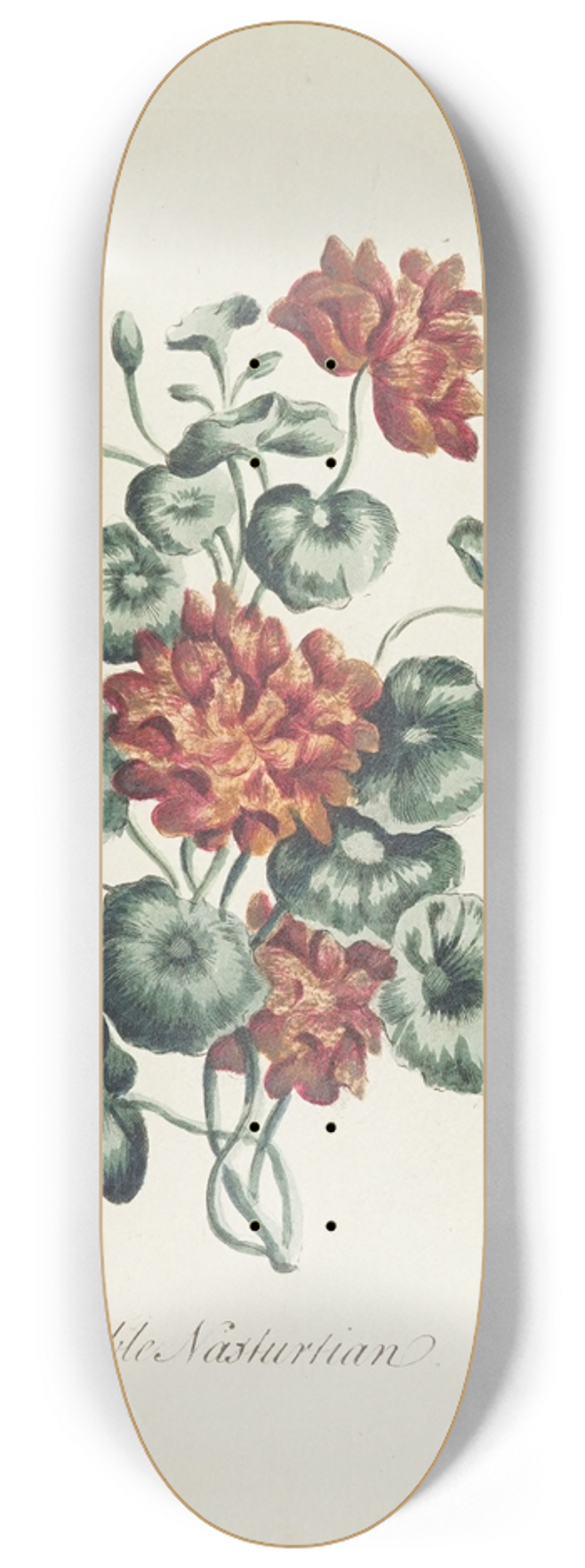 Carington Bowles - Double nasturtian 8.25 inch art skate deck